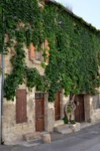 Vine-covered building (Villeneuve-lès-Avignon) © Alison Jordan
