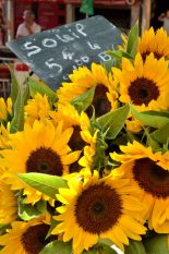 Sunflowers, market, Place Richelme (Aix-en-Provence) © Alison Jordan