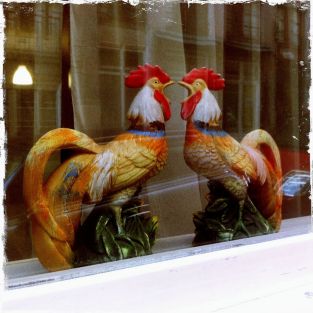 What a pair of cocks (Lyon) © Alison Jordan